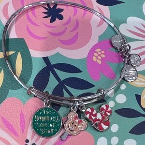 Limited release Disney park’s Christmas Alex and ani